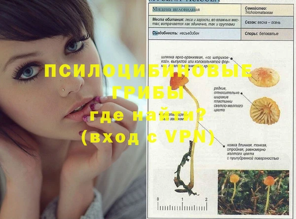 mdma Козловка